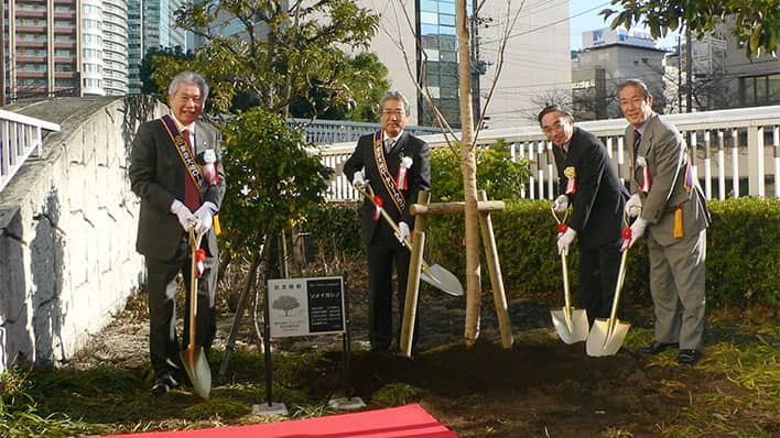 品川区目黒川にクラブ創立25周年記念植樹の画像